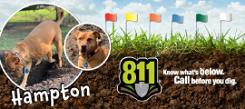 doggone it winner, Hampton
