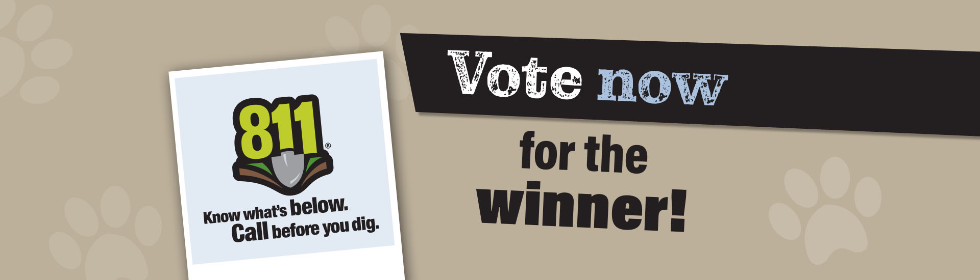 vote now for the winner